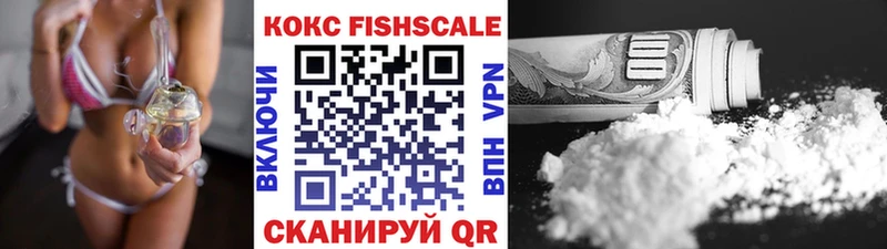 Купить закладки  Пущино  Cocaine FishScale 