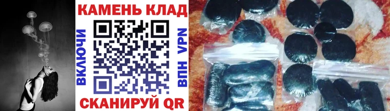 Купить закладки  Пущино  ГАШИШ Изолятор 