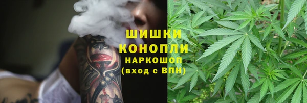 СК Козловка