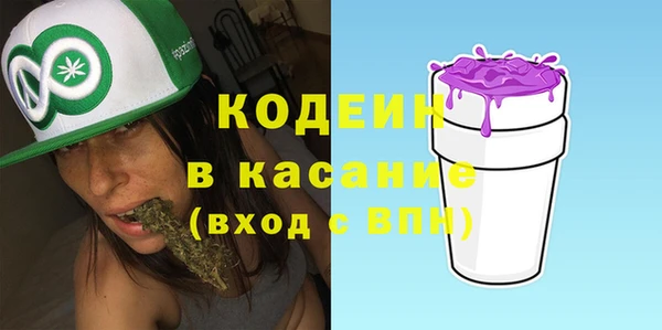 крисы Козельск