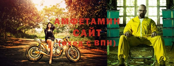 крисы Козельск