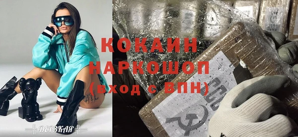 крисы Козельск