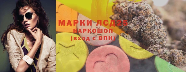 крисы Козельск