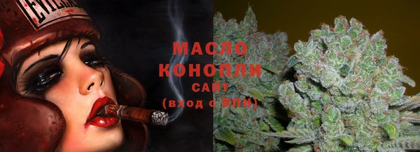 крисы Козельск