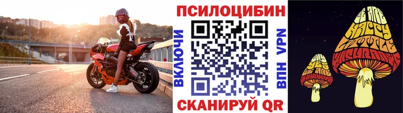 Псилоцибиновые грибы GOLDEN TEACHER  Купить где  Пущино 